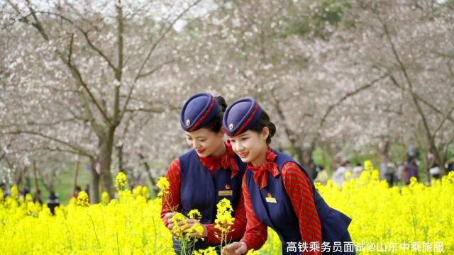 兰州、青岛乘务11月份面试全国各地高铁餐服随时安置北京派出所辅警、长沙机场地勤免费安置南昌高铁vip乘务近期面试济南、北京乘务