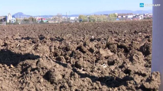 “路易达孚厚土计划东北黑土地保护项目”实验基地在龙井揭牌