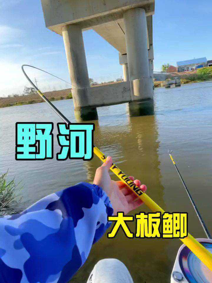 钓鱼的乐趣只有钓鱼人懂喜欢野钓吗_高清