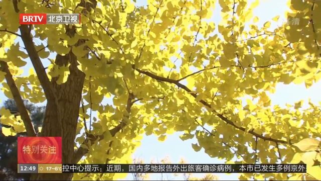 怀柔各大公园秋景宜人疫情防控措施到位