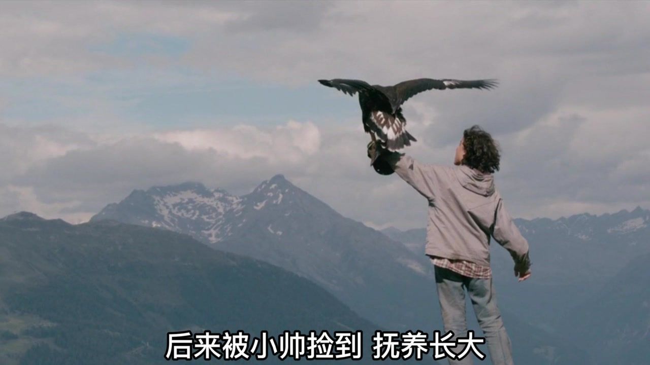 被哥哥推下悬崖,母亲放弃救援,被小孩养大养大后,回去复仇_高清1080P在线观看平台_腾讯视频
