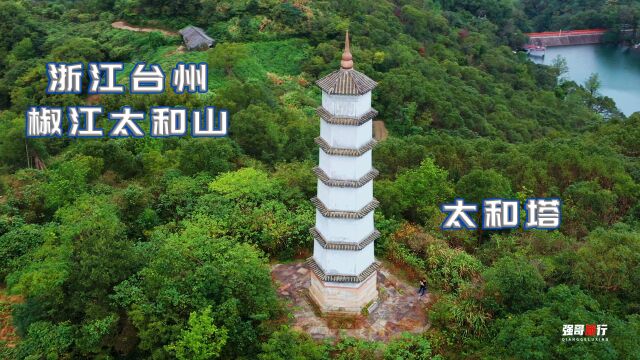 浙江椒江太和山,太和塔多少时间没上去了,路边的野草比人高