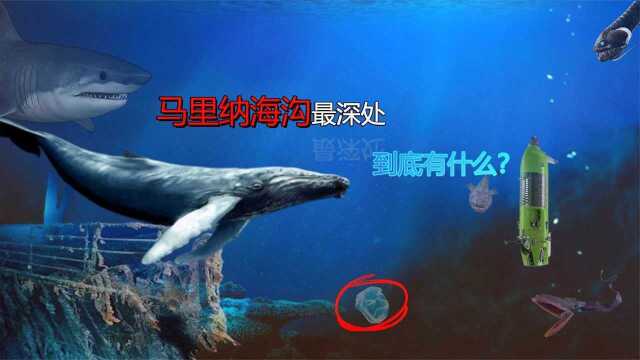 马里纳海沟最深处有什么?比人类登月人数还少