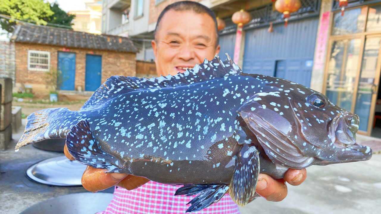 1100买石斑鱼中贵族蓝瓜子阿胖山做清蒸3吃果然名不虚传