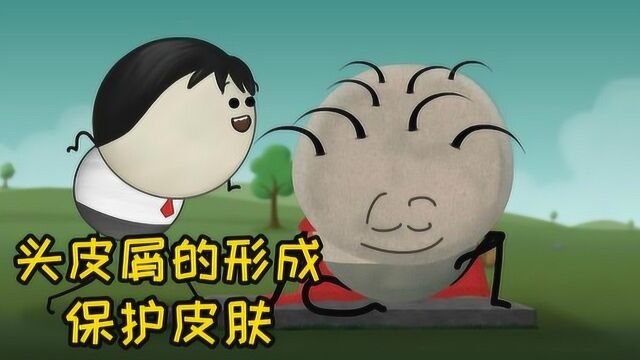 为什么我们会有头皮屑?它有什么作用吗