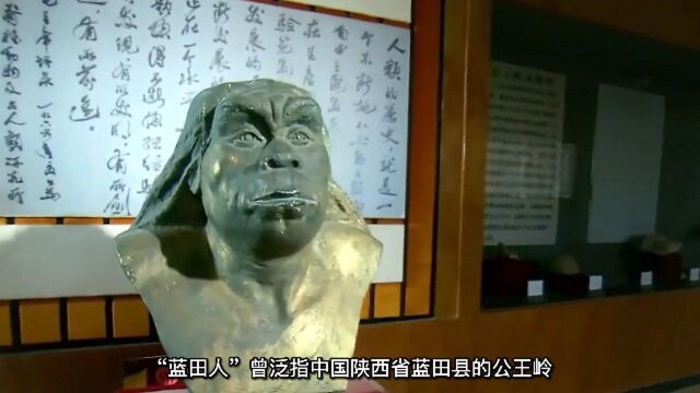 纪录片《浐灞长歌》:蓝田猿人居然也是人类起源之一?