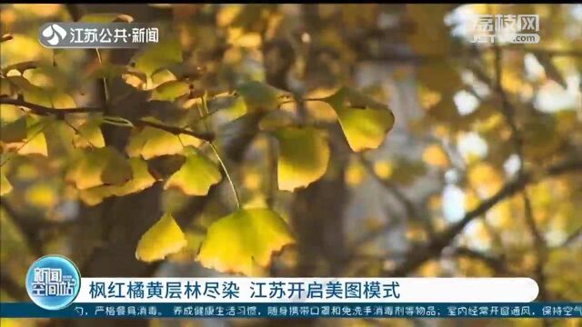 谁打翻了调色盘 枫红橘黄层林尽染 江苏开启美图模式