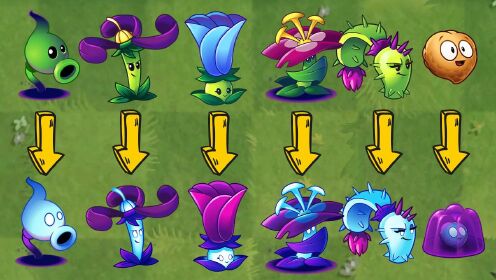 植物大战僵尸:暗影植物进入暗影状态前后有什么区别?