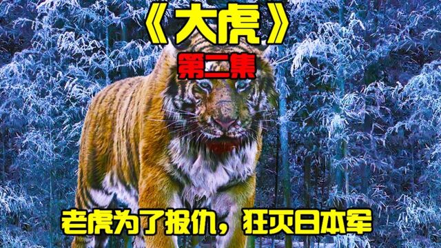 《大虎2》猛虎山君为了报仇,撕碎了百人军队