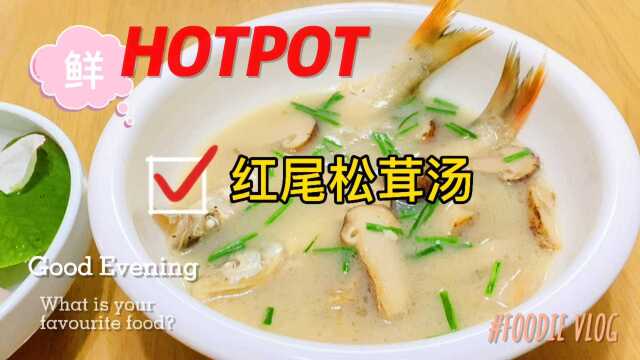 美食之红尾松茸汤,靓汤营养