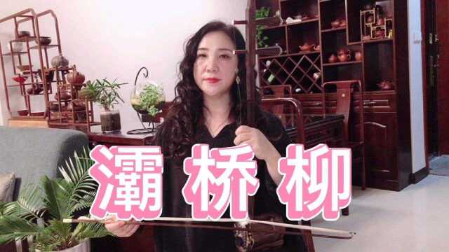 好听的二胡版《灞桥柳》C调26弦.