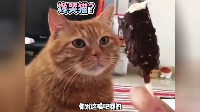 猫:给我尝一口,立刻马上