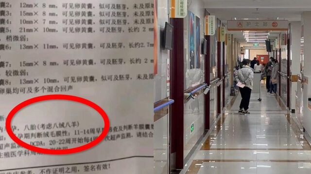 河南一女子意外怀上8胞胎,家人喜忧参半,医生说出原因惊呆网友