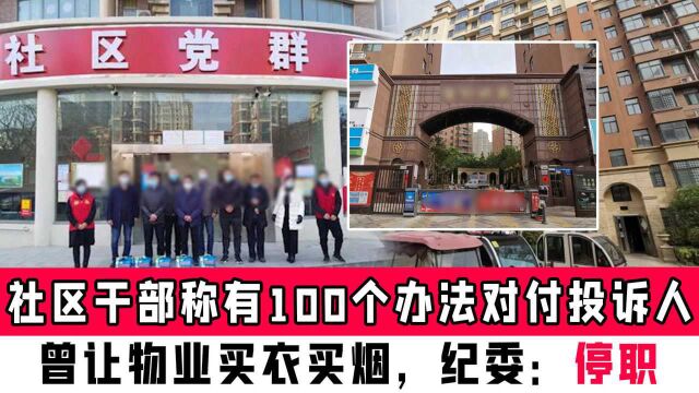 河南某社区干部称有100个办法对付投诉人,曾让物业买衣买烟,纪委:停职