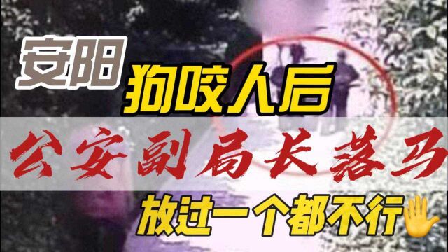 安阳狗咬人后,公安副局长被查,当地为何问题连连?您怎么看?