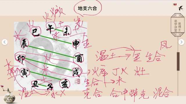 八字排盘基础知识08,地支六合 易楠天