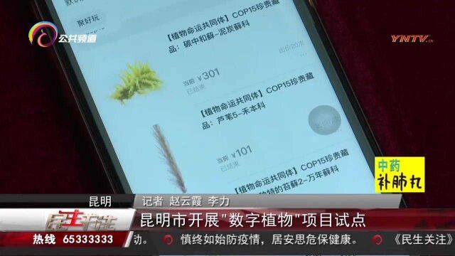 昆明市开展“数字植物”项目试点