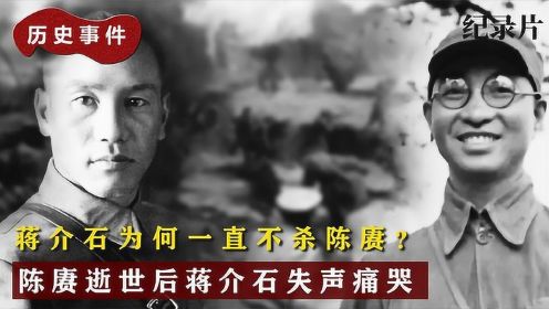 1933年陈赓大将被捕，蒋介石极力劝降，却被陈赓说的哑口无言#万物真实原创视频征集#