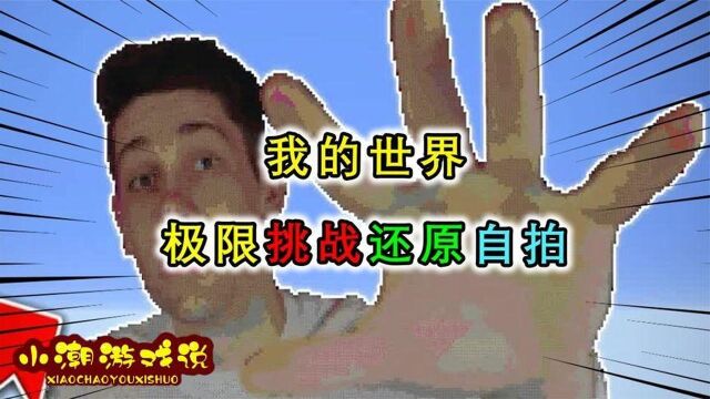 我的世界:极限模式下的极限挑战?玩家在极限生存中还原自拍照