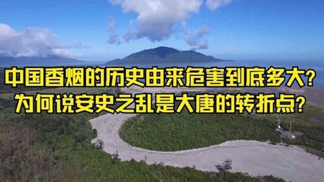 中国香烟的历史由来危害到底多大为何说安史之乱是大唐的转折点