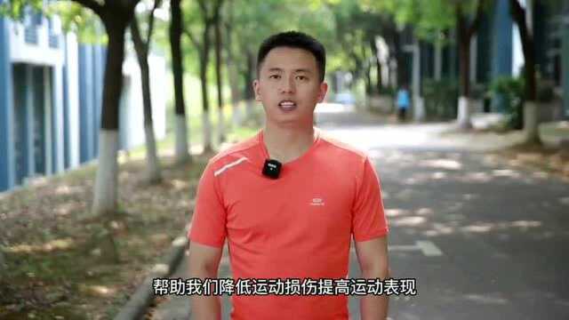 科学健身100期|练习这些动作 请注意你的骨盆位置!