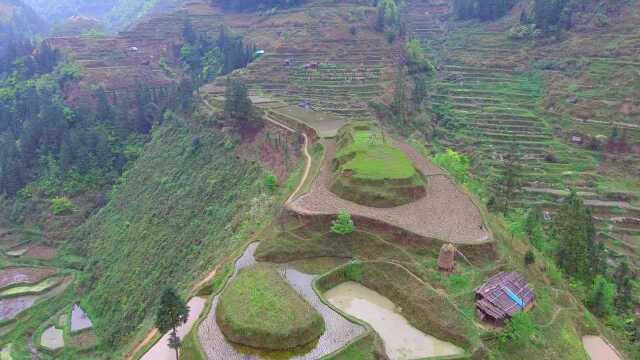 这叫田中山,做墓葬的极佳风水宝地,这样的山头非常难得一见