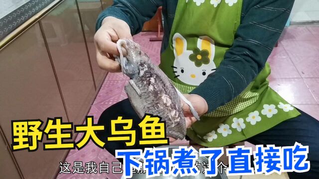 两斤野生大乌鱼,海边渔民是怎么个地道吃法?起锅直接煮就完事