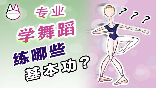 想专业学跳舞,要练哪些基本功?!舞蹈生养成需知