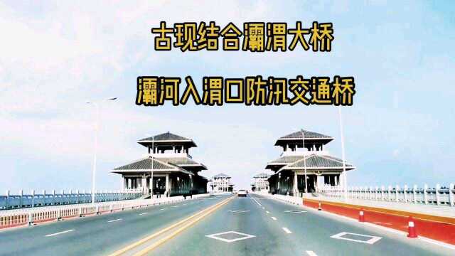 灞渭大桥桥头车游湿地12月初的郊游