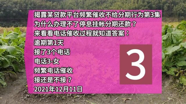 揭露某贷款平台频繁催收不给分期行为第3集