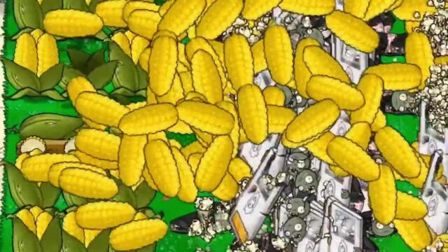 植物大战僵尸新植物:玉米迫击炮