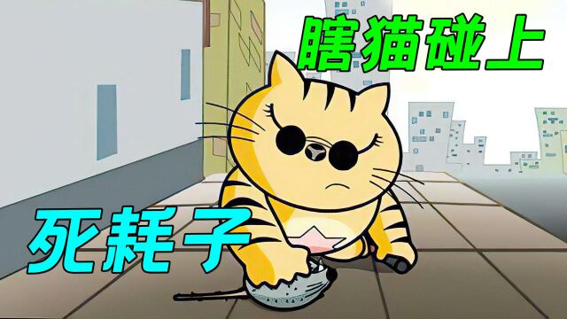 实力演绎,瞎猫碰上死耗子,纪录片