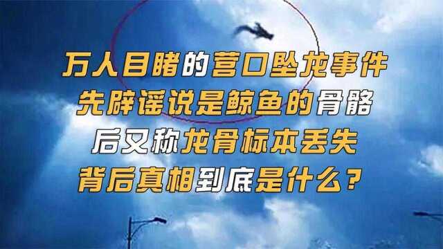 龙或许真的存在?龙骨标本为何离奇丢失,揭开营口坠龙背后的真相#好片推荐官#