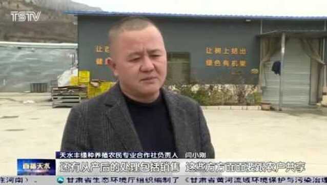 秦州区:“种植+养殖” 打造生态循环农业