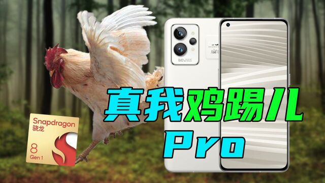 年轻人的第一张纸!realme真我GT2 Pro实力诠释环保直屏旗舰!