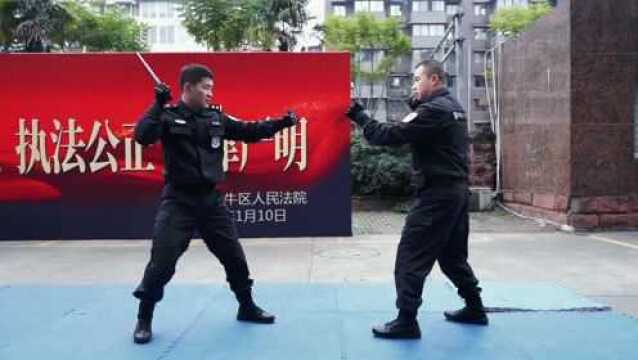 警旗,你好!我是人民法院司法警察!