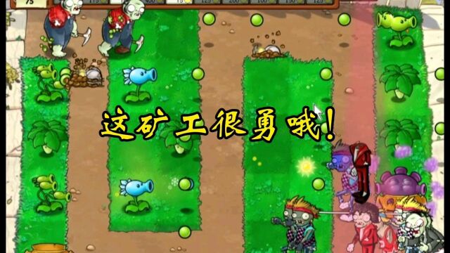 【植物大战僵尸塔防版】多重防御?你这矿工很勇哦!