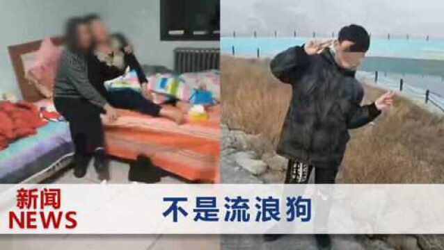 河北11岁男童被四条狗咬死,遗体留在家外一公里,奶奶哭到脱力