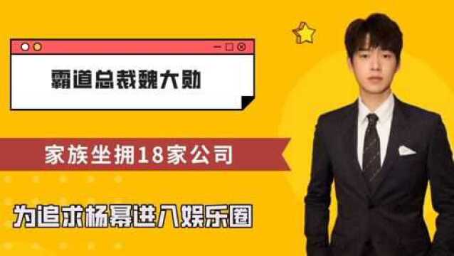 霸道总裁魏大勋,家族坐拥18家公司,为追求杨幂进入娱乐圈