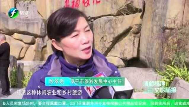 龙岩漳平第十一届樱花“福”文化旅游节启幕