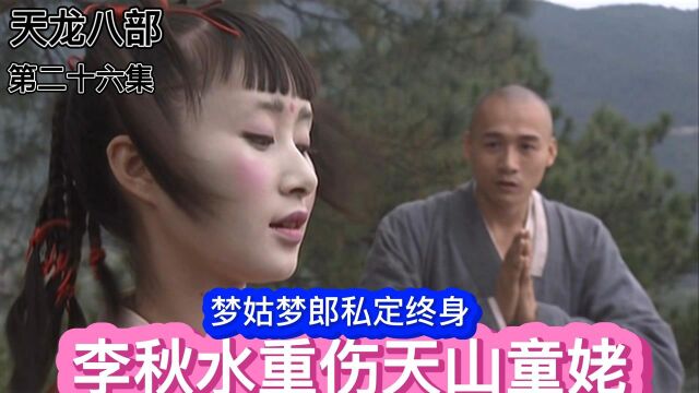 李秋水重伤天山童姥