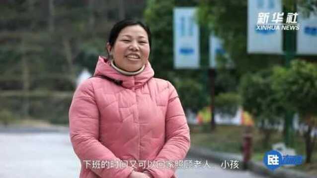 民生直通车|脱贫后,他们在村里安居更乐“业”