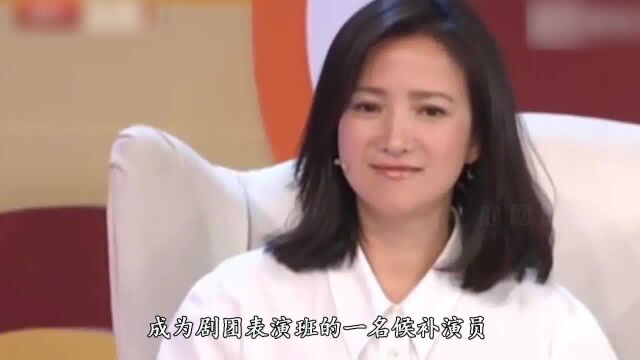 古典第一美人何晴:与刘威5年后,转身嫁4婚许亚军生子,她图什么