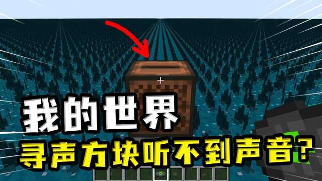 我的世界:寻声方块听不到声音?弹奏音符盒发出的声响都不能触发