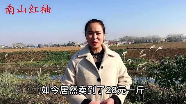 农村田间的“灯笼果”是宝,城里卖28元一斤,86岁老奶奶教我一招