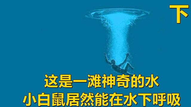 这是一滩神奇的水,小白鼠居然能在水下呼吸