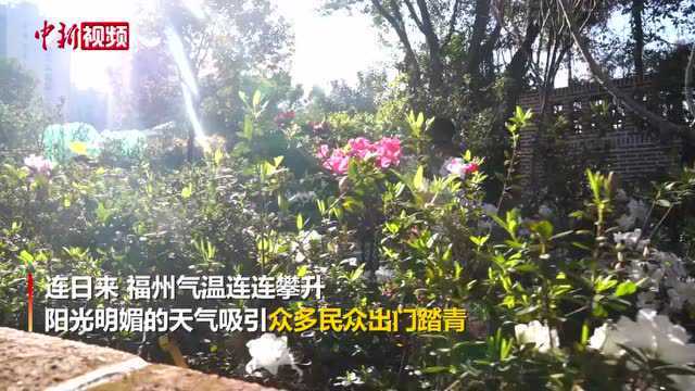 福州:百花盛开春来报美景惹人醉