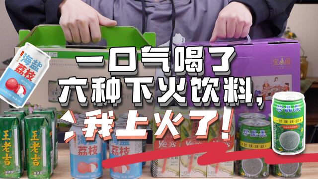 你没喝过的饮料合集之,容易让人上火的降火饮料~