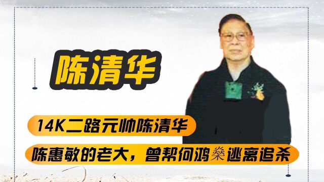 陈惠敏的老大,曾帮何鸿燊逃离追杀,揭秘14K二路元帅陈清华风云史