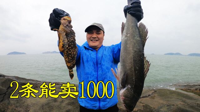 100斤猪血撒300平的巨无霸坑,值钱海货暗藏石缝底下,2条卖1000